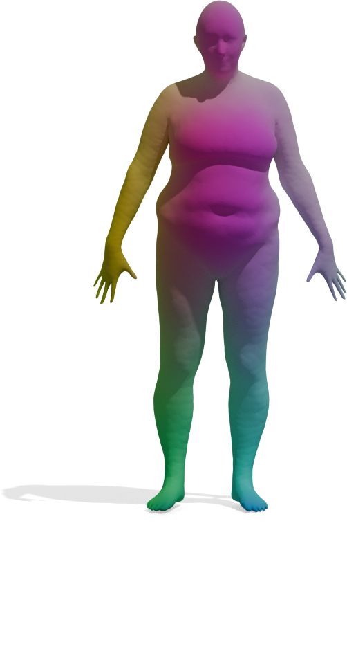 Full-shape template