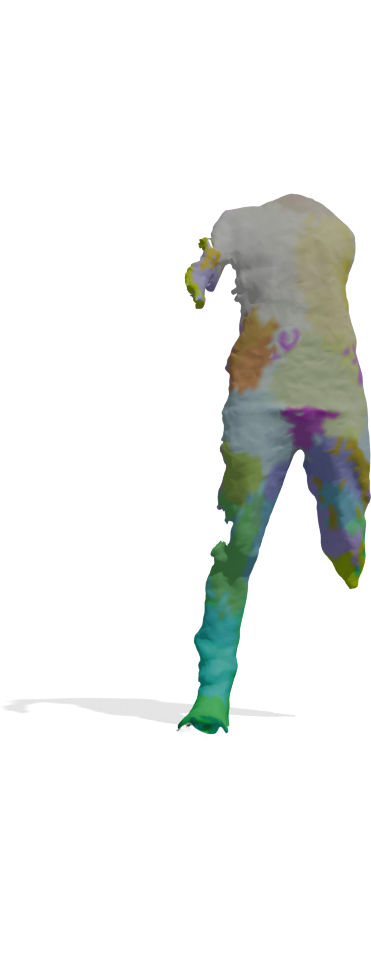 ric3_vis with DINOv3